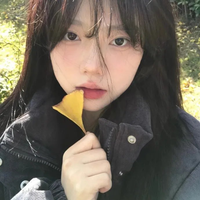 狐狸躲进洞